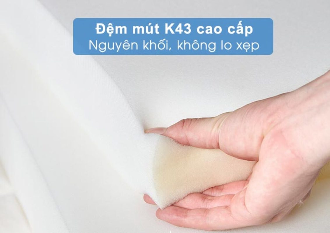 Các loại đệm mút sofa phố biến và cách chọn đệm sofa phù hợp - Dolho Living