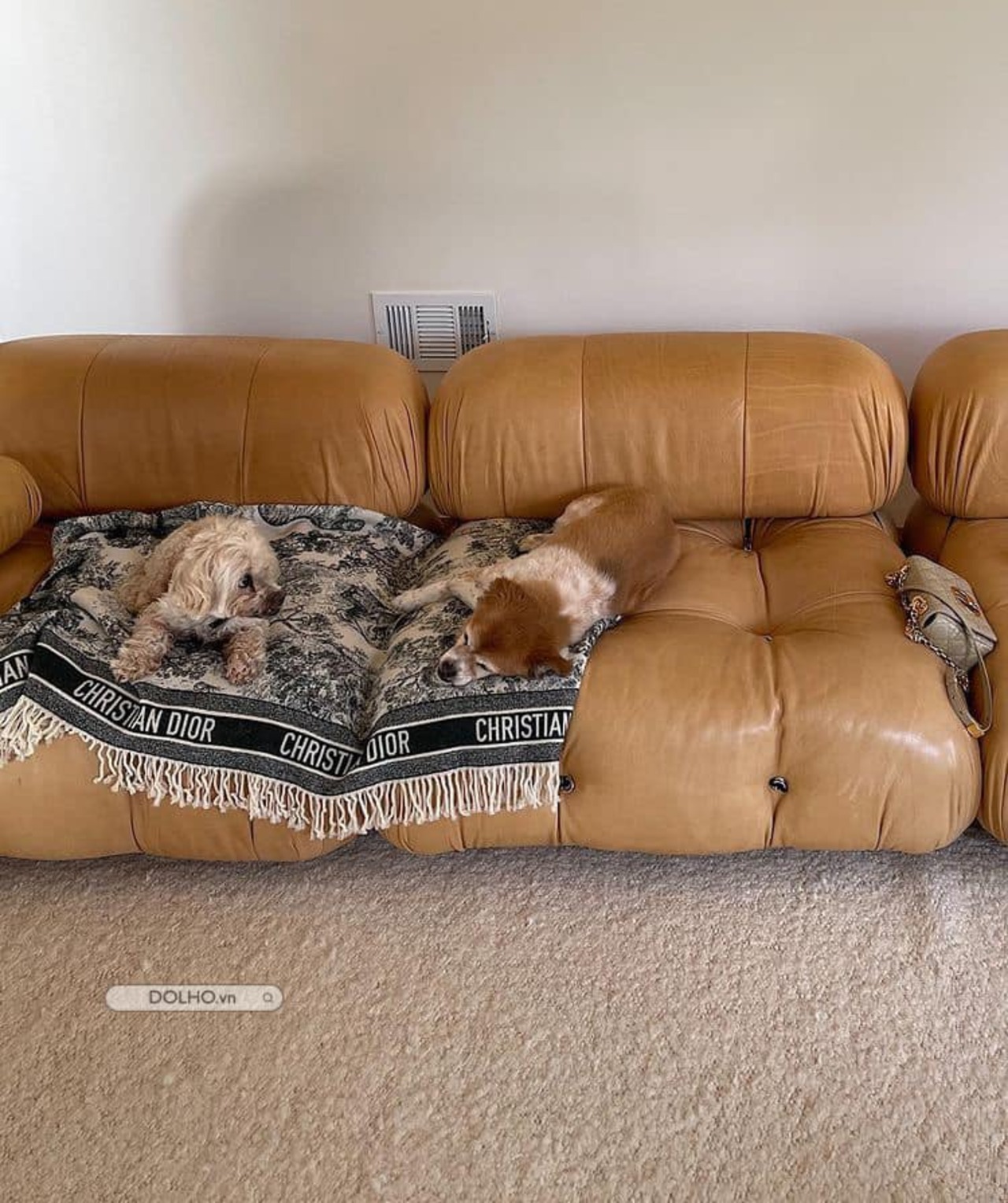 Các loại đệm mút sofa phổ biến và cách chọn đệm sofa phù hợp